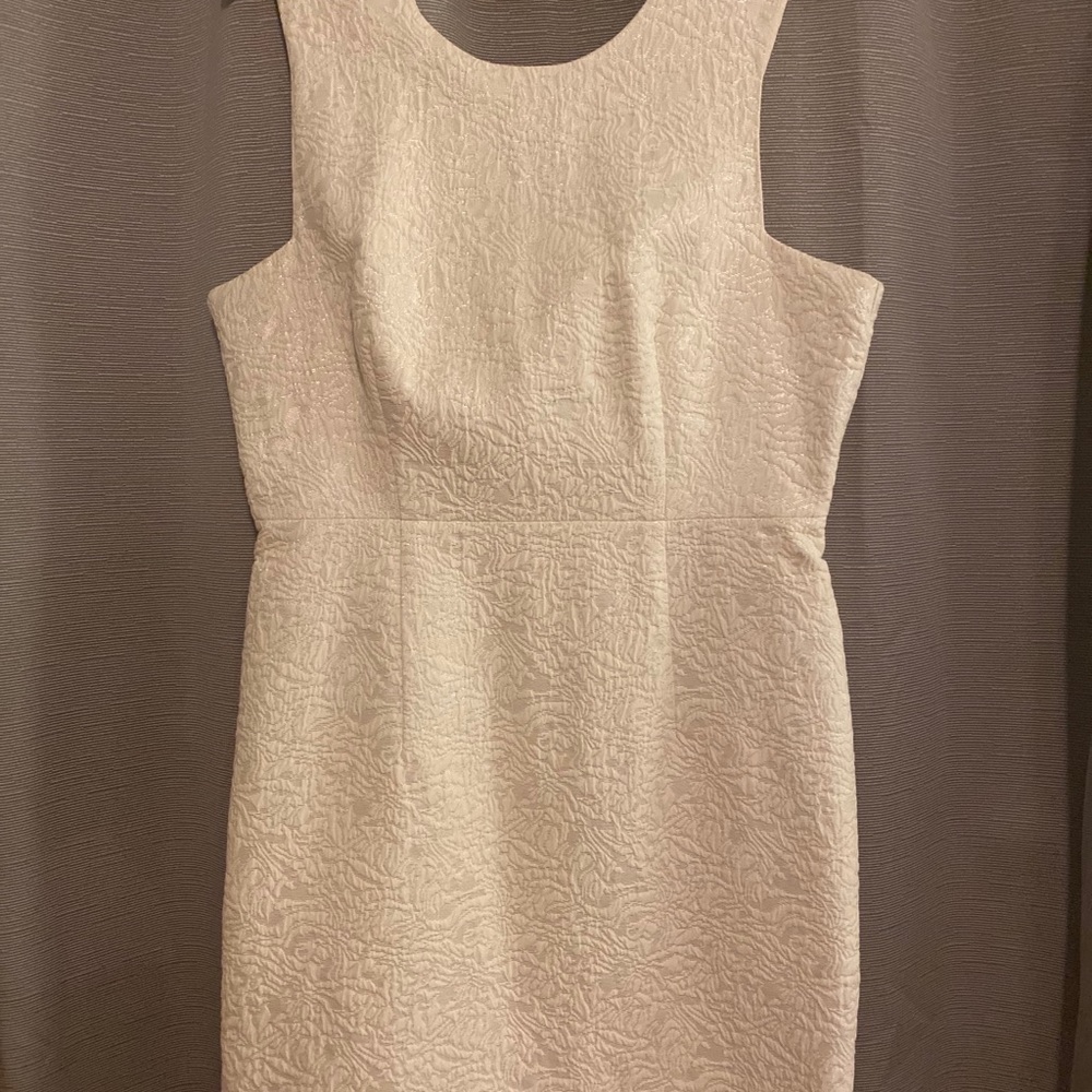 H&M | White BodyCon Sleeveless Embroidered Dress